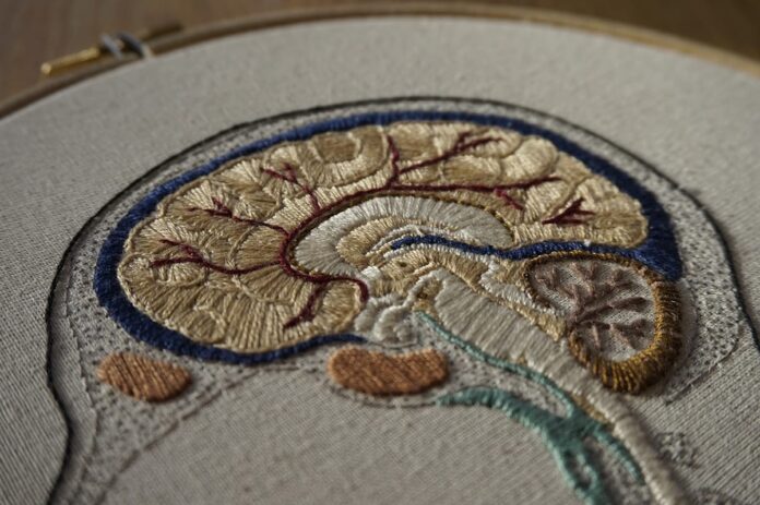 Embroidering Biology