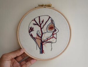 Embroidering Biology